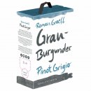 Roman Graeff Grauburgunder Rheinhessen QbA 3,0l Bag in Box
